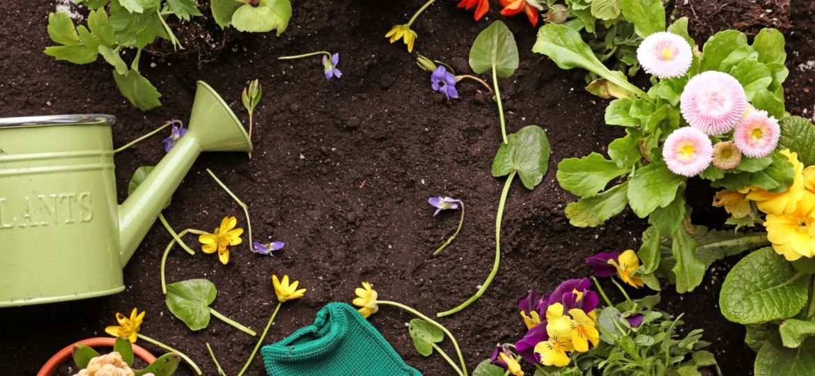 vocabulaire-plantes-jardinage