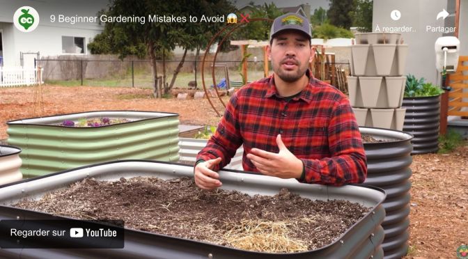 9 Beginner Gardening Mistakes to Avoid