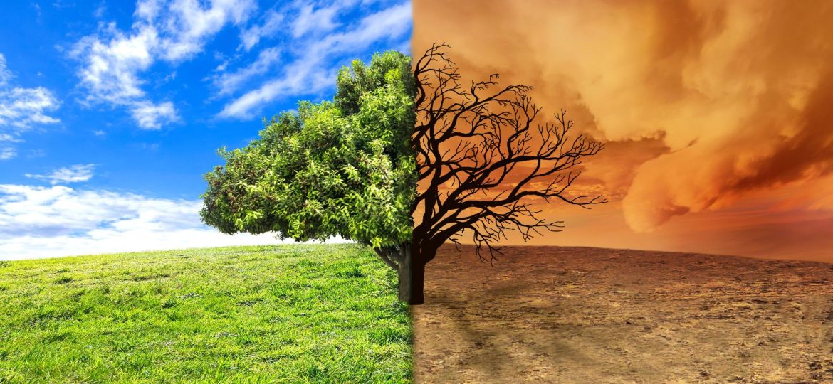 Changement climatique