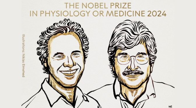 2024&rsquo;s Nobel Prize in Physiology or Medicine Winners