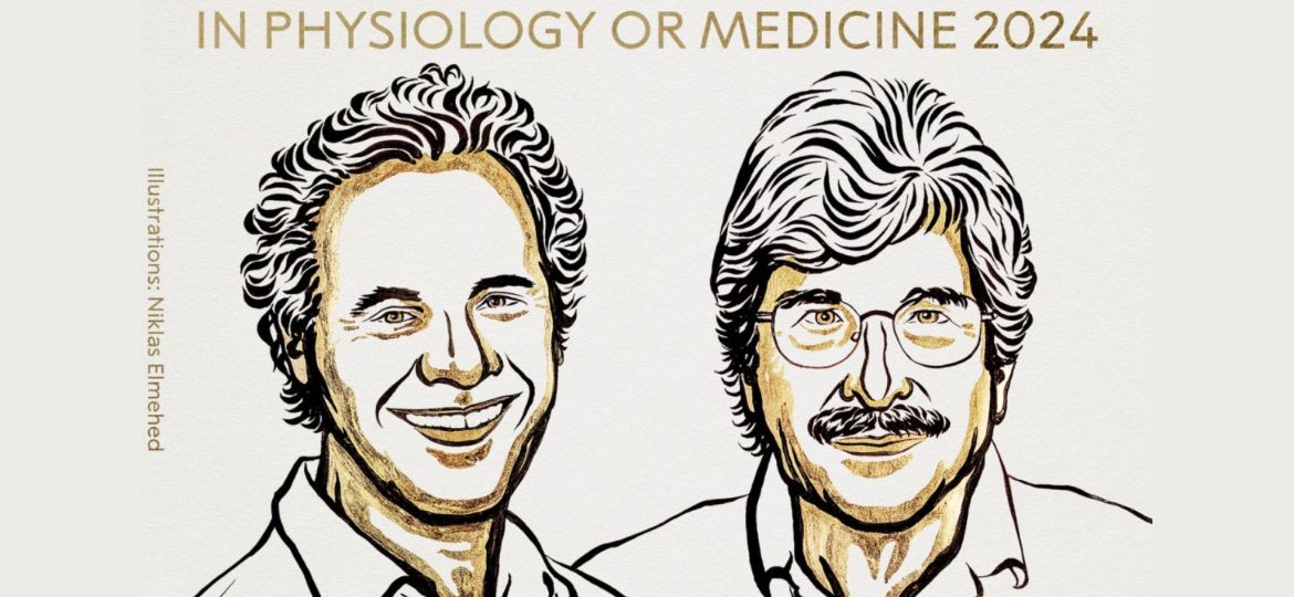 2024's Nobel Prize in Physiology or Medicine Winners