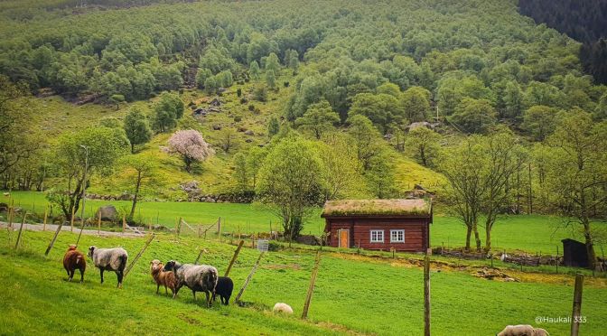 Norway’s simple approach to greener living