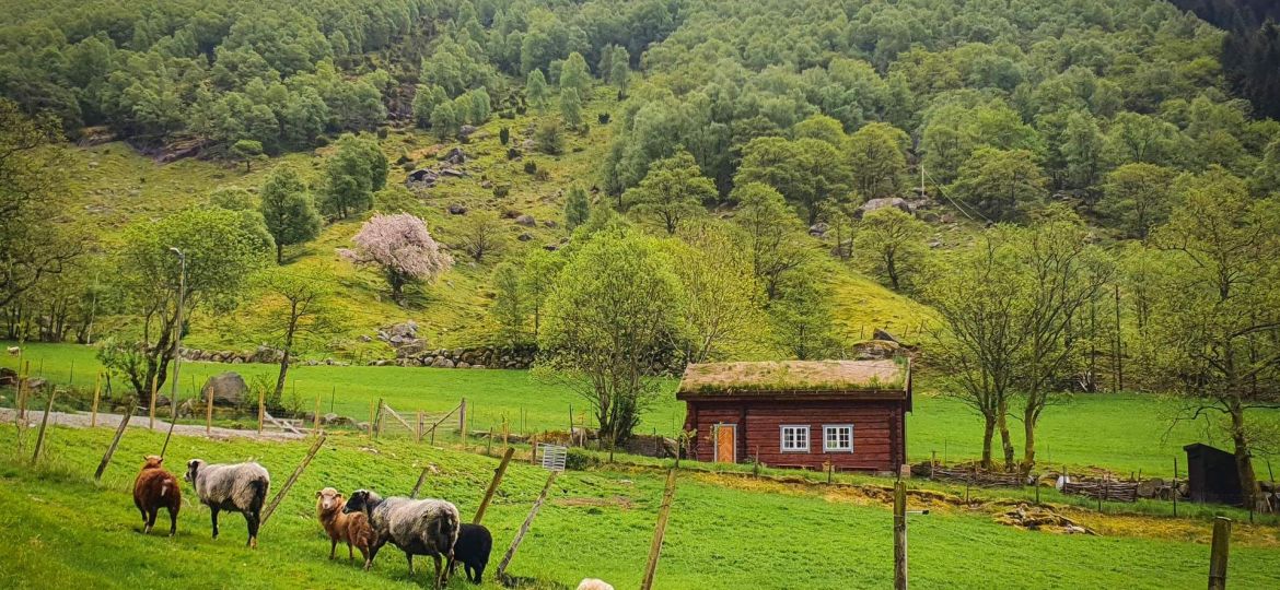 Norway's simple answer to greener, cleaner living