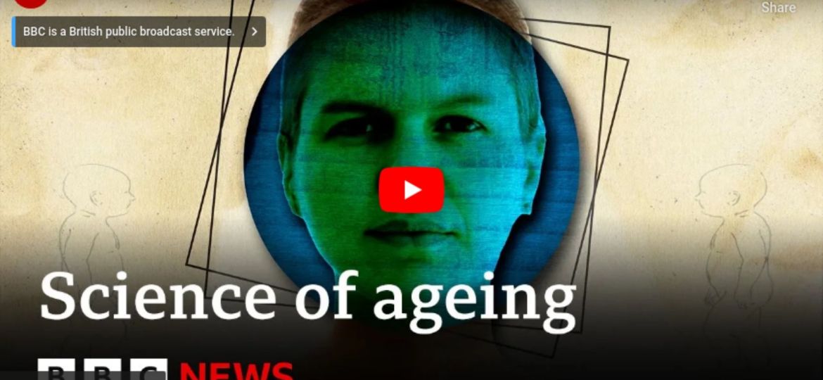 Discovery - Images - Articles (Image à la une) (37)