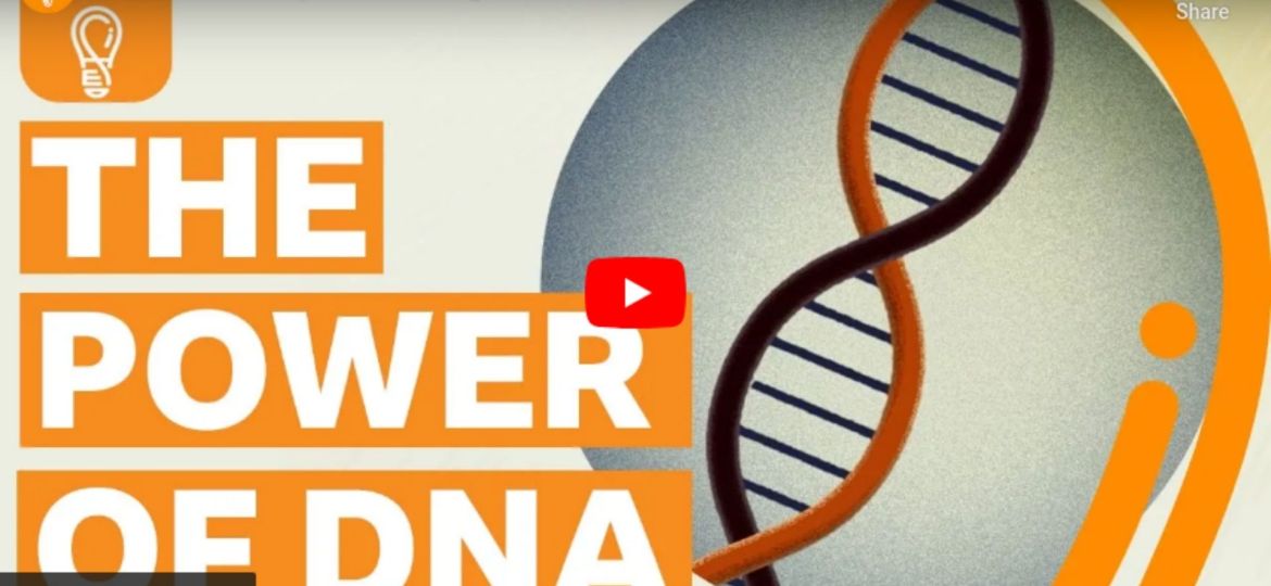 Discovery - Images - Articles (Image à la une) - 2025-01-20T152752.613