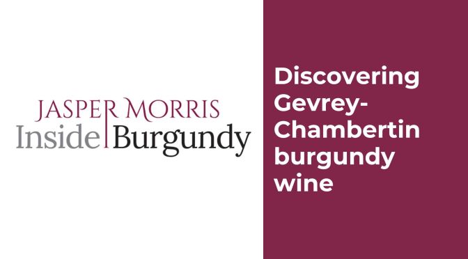 Discovering Gevrey-Chambertin burgundy wine