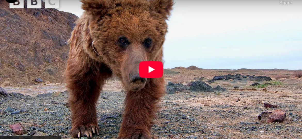 Discovery - Images - Articles (Image à la une) (71)