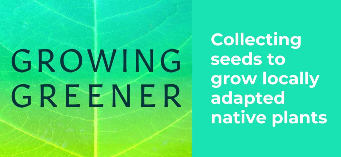 Discovery - Images - Articles (Image à la une) (74)