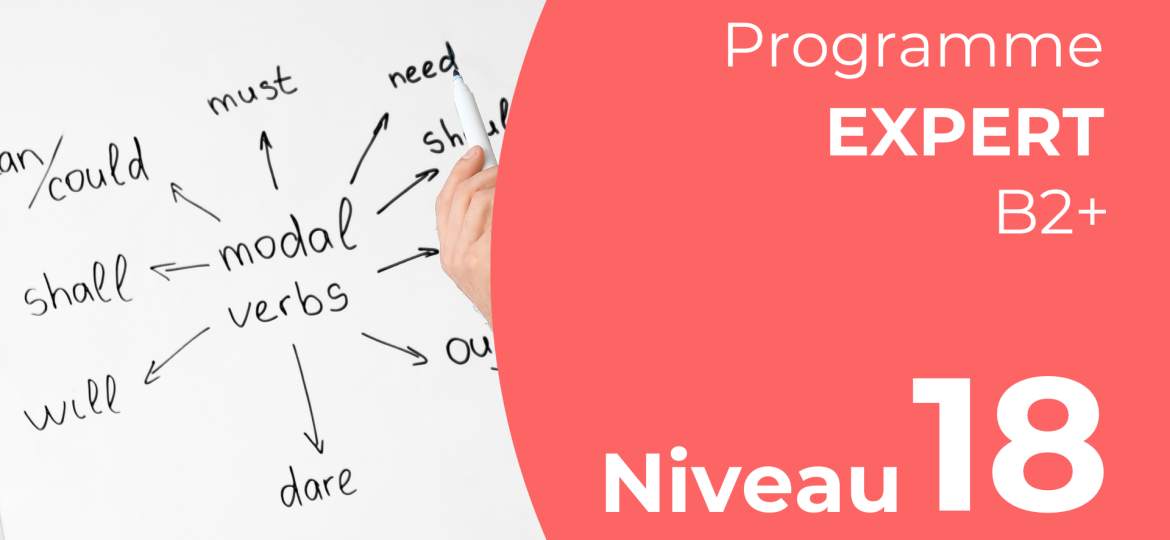 Grammaire - Expert - B2+(18)