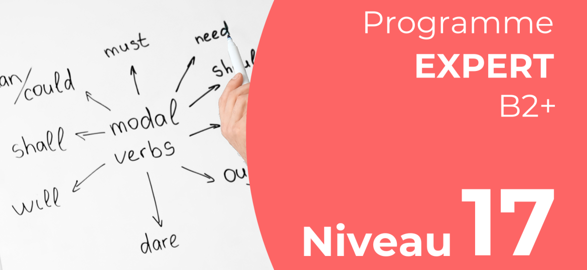 Grammaire - Expert - B2+(19)