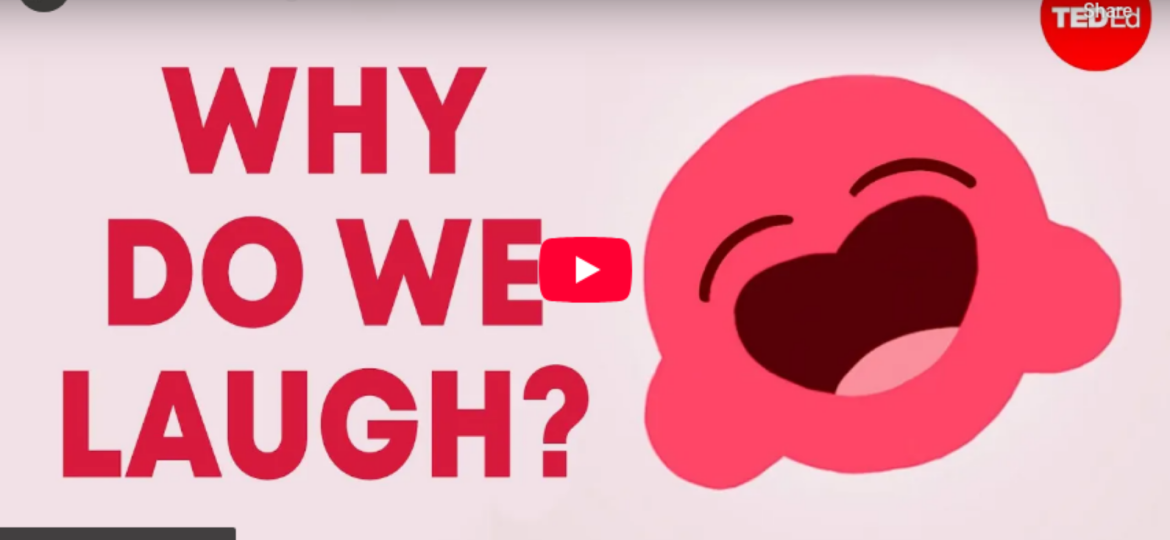 Discovery - Images - Articles (Image à la une) - 2025-05-12T154039.551