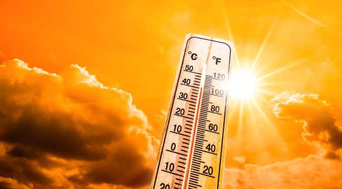 Heatwave tips for staying cool