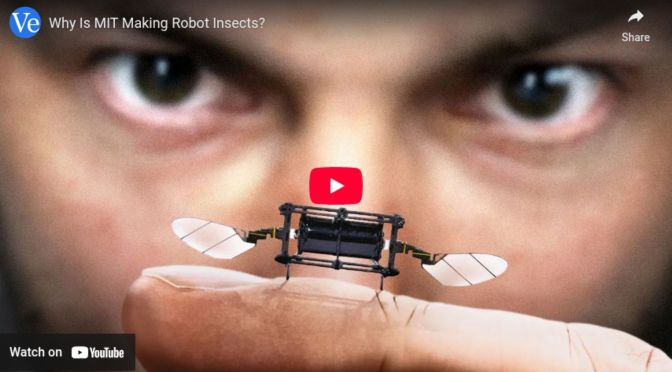 Why is MIT making robot insects?