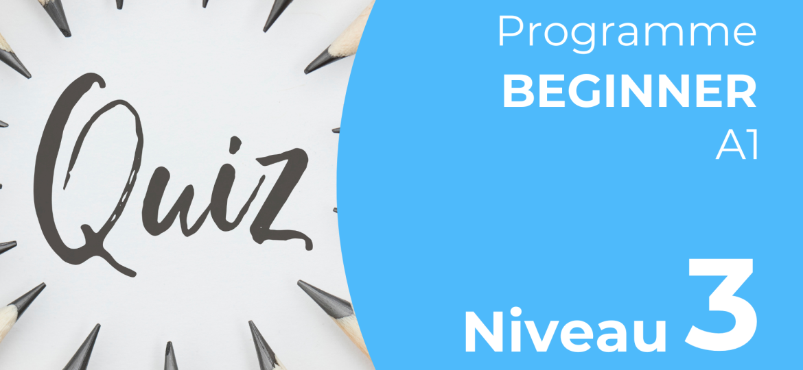 Level Quiz - Beginner - 3