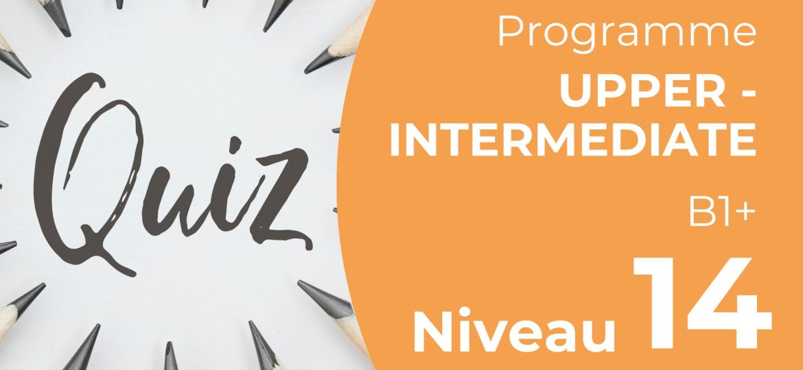 Level Quiz - Upper-Intermediate 14