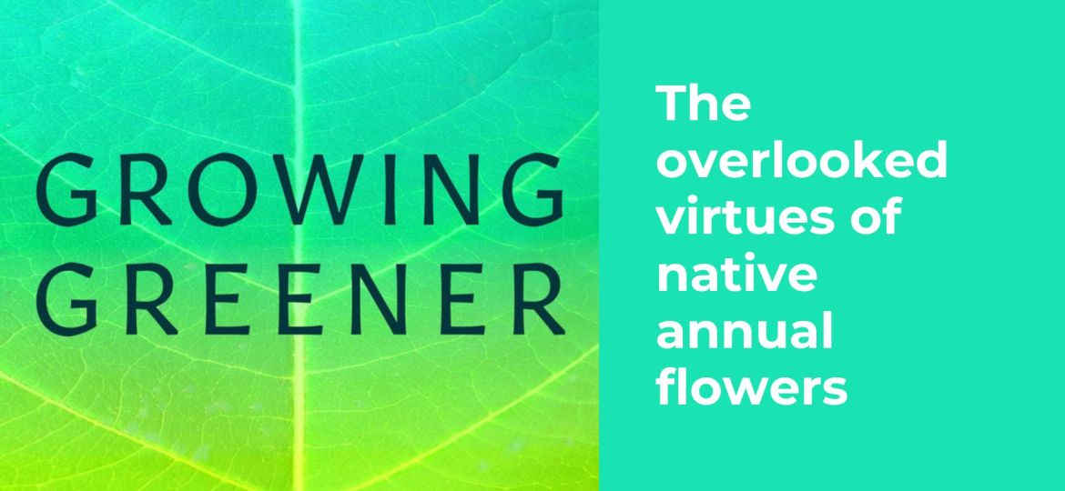 The overlooked virtues of native annual flowers