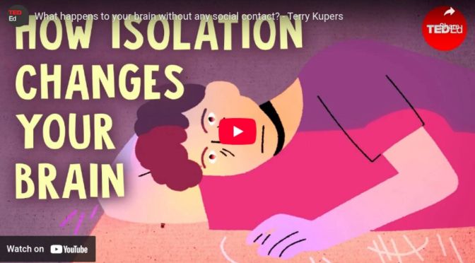 What happens to your brain without any social contact?