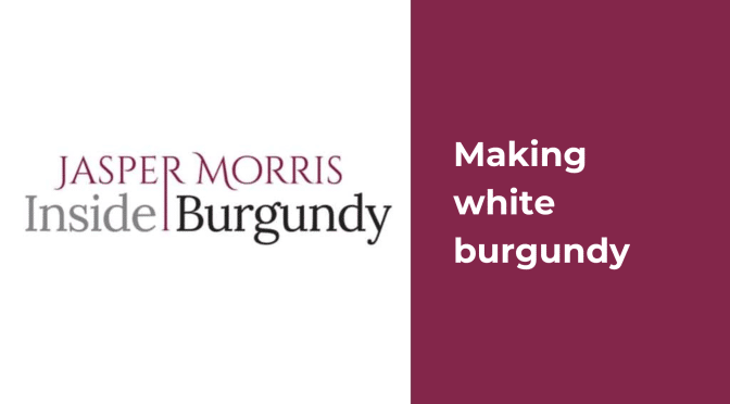 Making white Burgundy wine