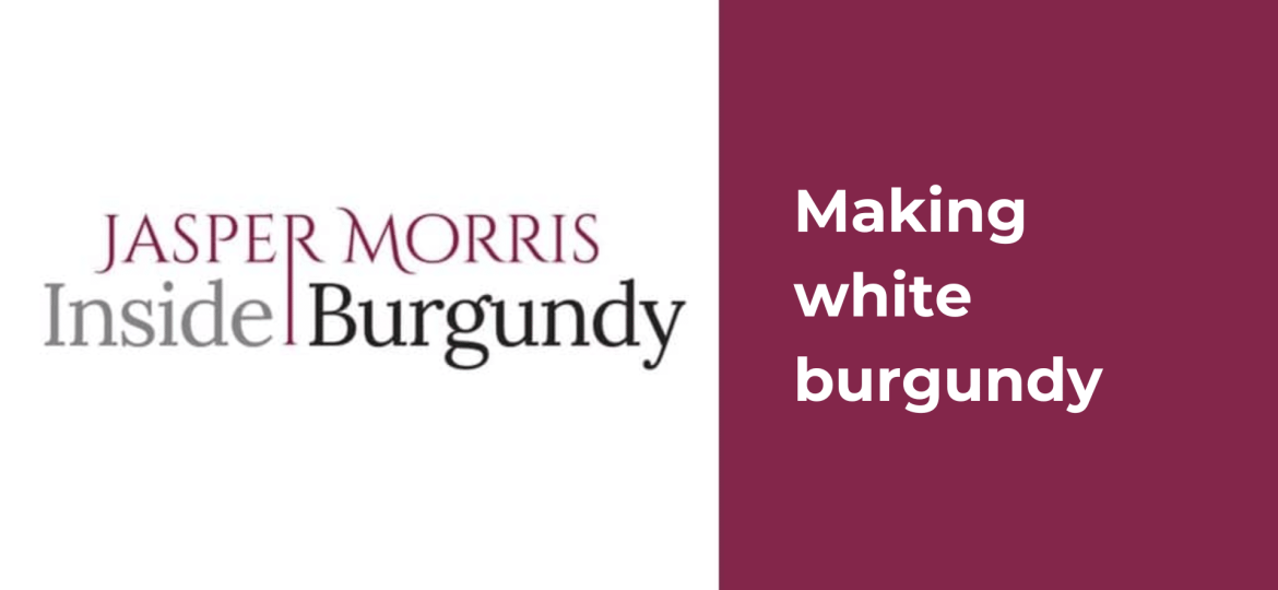 Making white Burgundy wine