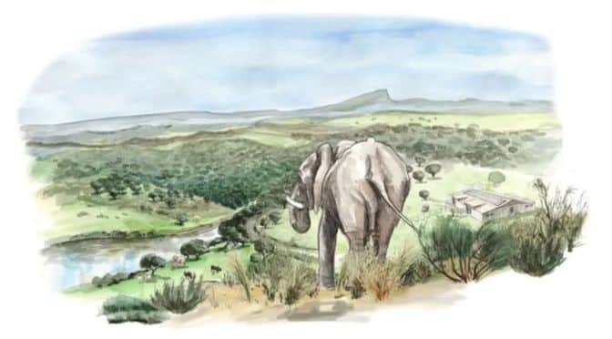 Portugal to open Europe’s first elephant sanctuary