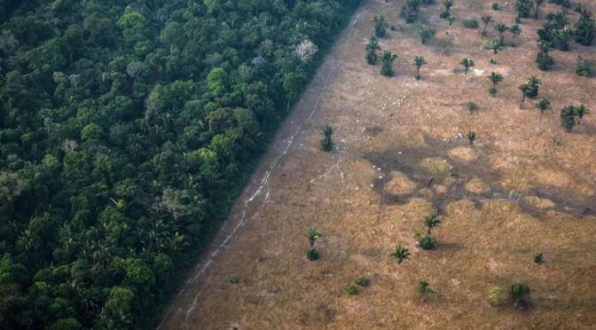 What can we expect from COP30?