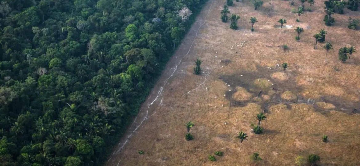 What can we expect from COP30