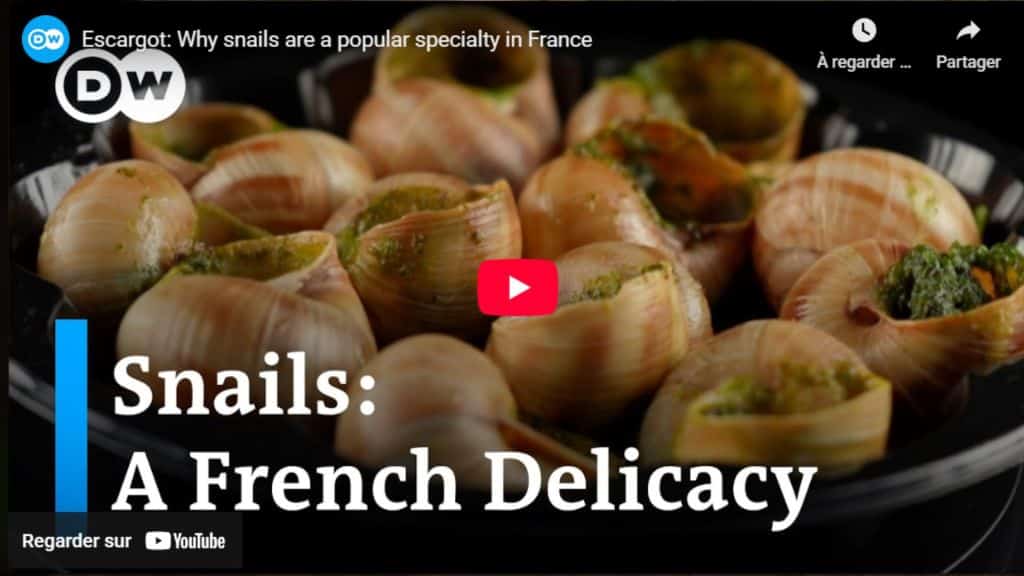 Escargot Why snails are a popular specialty in France