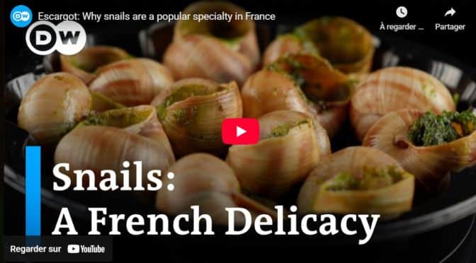 Escargot: Why snails are a popular specialty in France