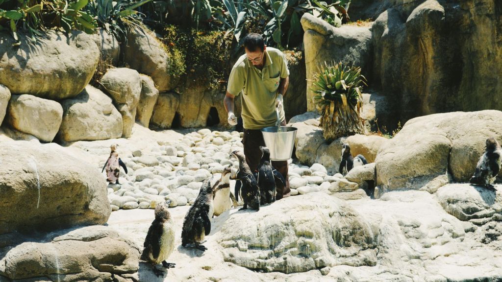 Exploring the Life of a Zookeeper