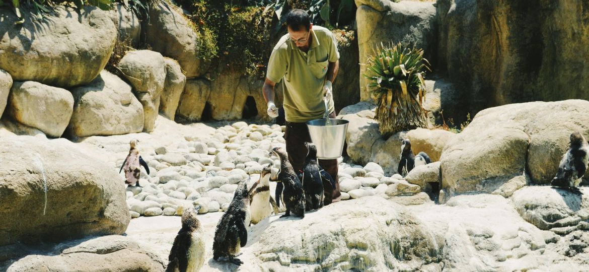 Exploring the Life of a Zookeeper