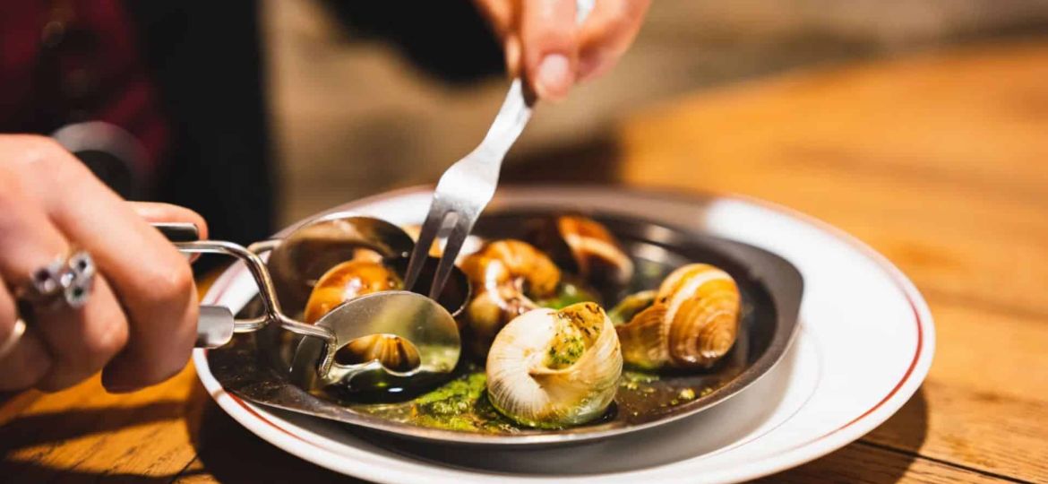 Snail farm in northern France loses €90,000 stock in overnight theft