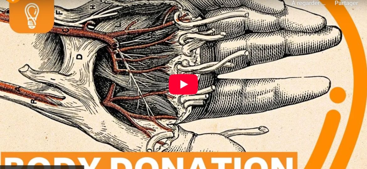 would you donate your body to science