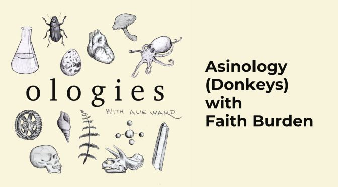 Asinology (donkeys)