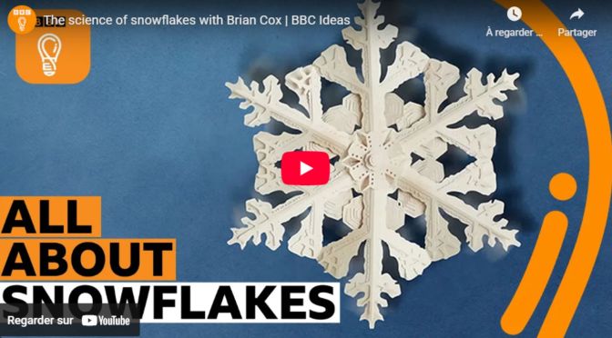The science of snowflakes