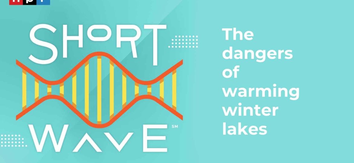 Discovery - Images - Articles (Image à la une) (6)