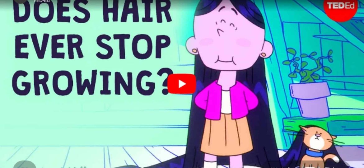 How long can hair grow - Maksim Plikus