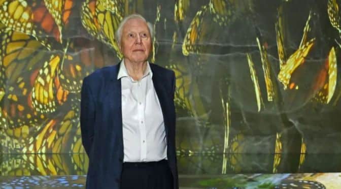 Celebrated naturalist David Attenborough marks 100th birthday