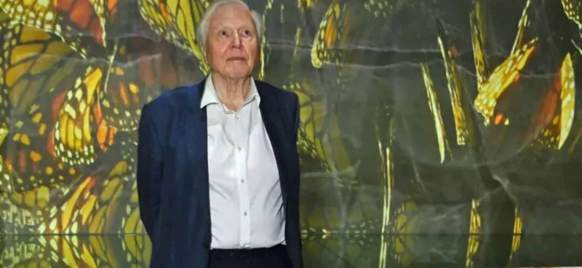 Celebrated naturalist David Attenborough marks 100th birthday