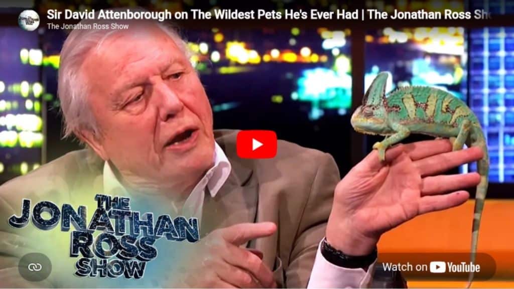 Sir David Attenborough on The Wildest Pets He's Ever Had The Jonathan Ross Show