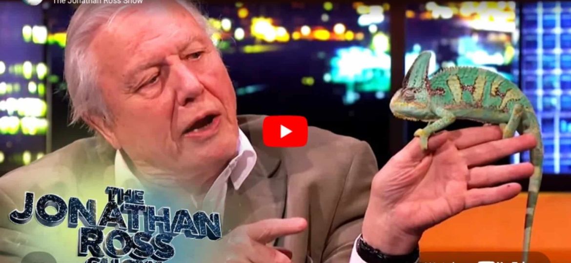 Sir David Attenborough on The Wildest Pets He's Ever Had The Jonathan Ross Show