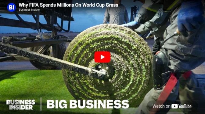 Why FIFA spends millions on World Cup grass
