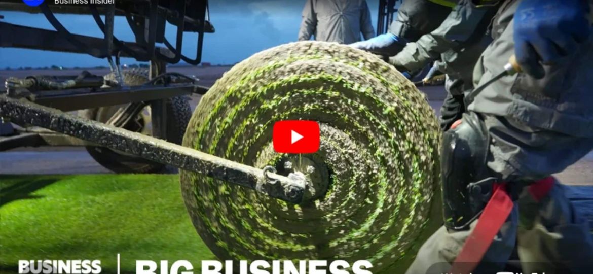 Why FIFA spends millions on World Cup grass