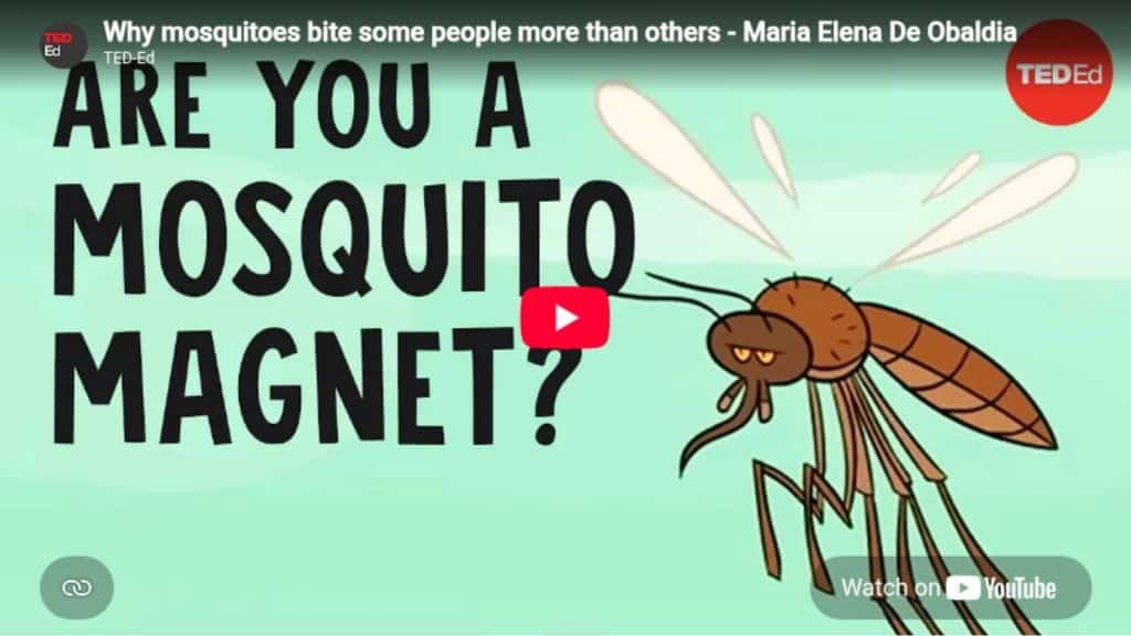 Why Some People Get Bitten by Mosquitos More Than Others