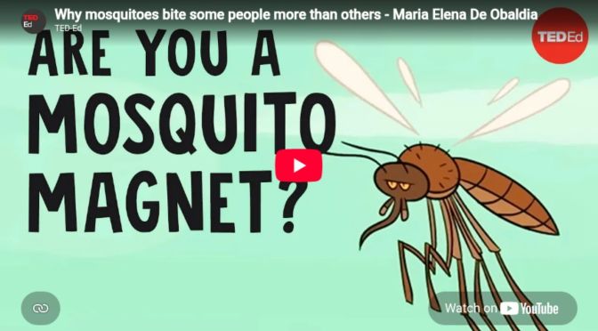 Why Some People Get Bitten by Mosquitos More Than Others