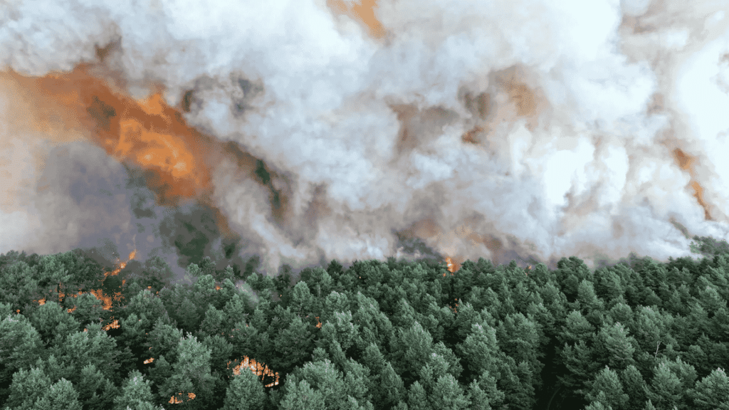 Wildfire Spreads Rapidly South of Paris Amid Intense Heat