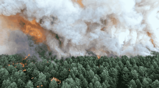Wildfire Spreads Rapidly South of Paris Amid Intense Heat