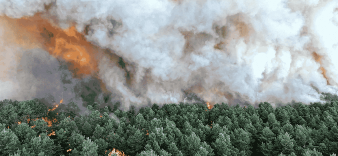 Wildfire Spreads Rapidly South of Paris Amid Intense Heat