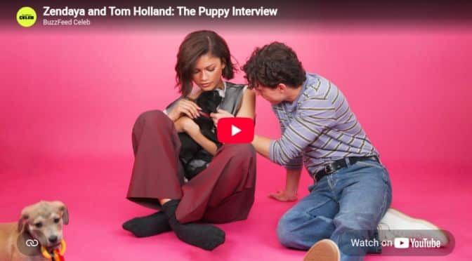 Zendaya and Tom Holland: The Puppy Interview
