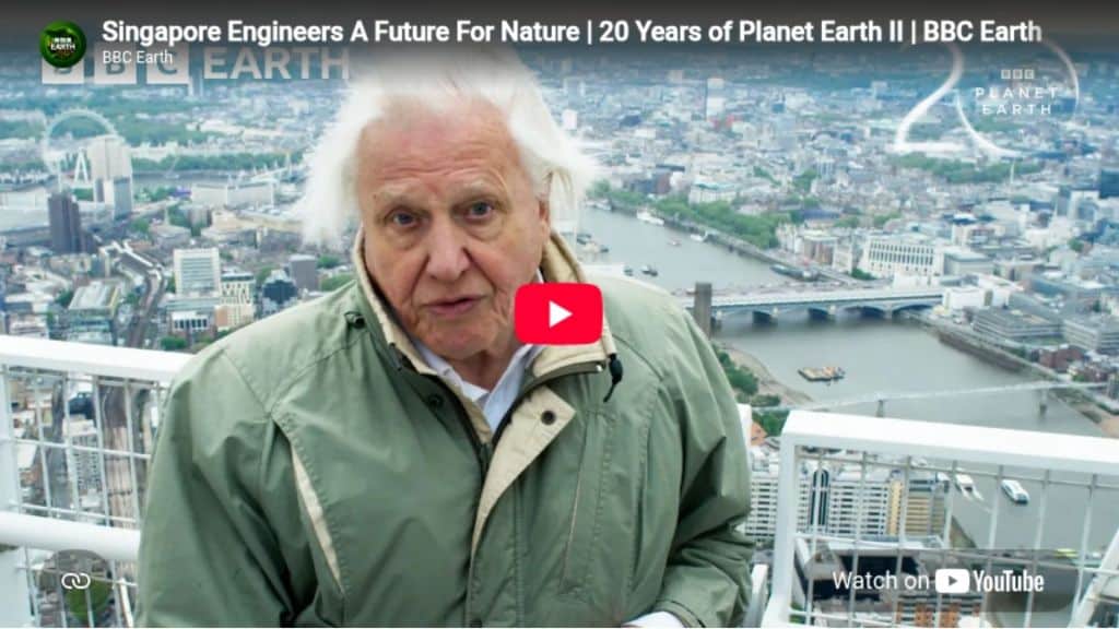 Singapore Engineers A Future For Nature 20 Years of Planet Earth II