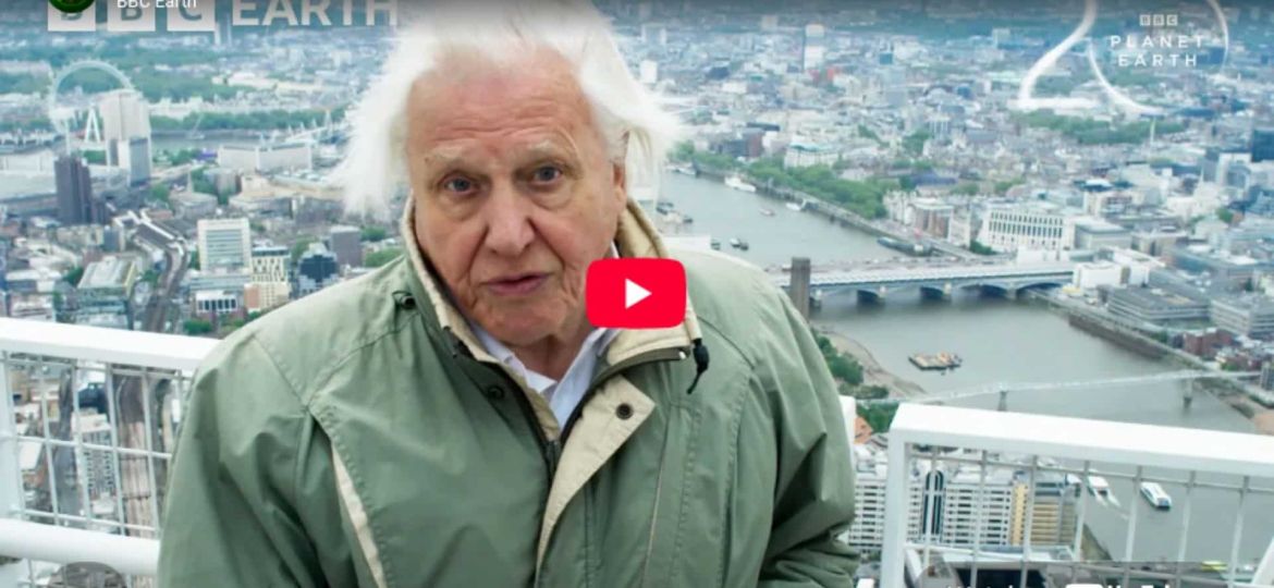 Singapore Engineers A Future For Nature 20 Years of Planet Earth II